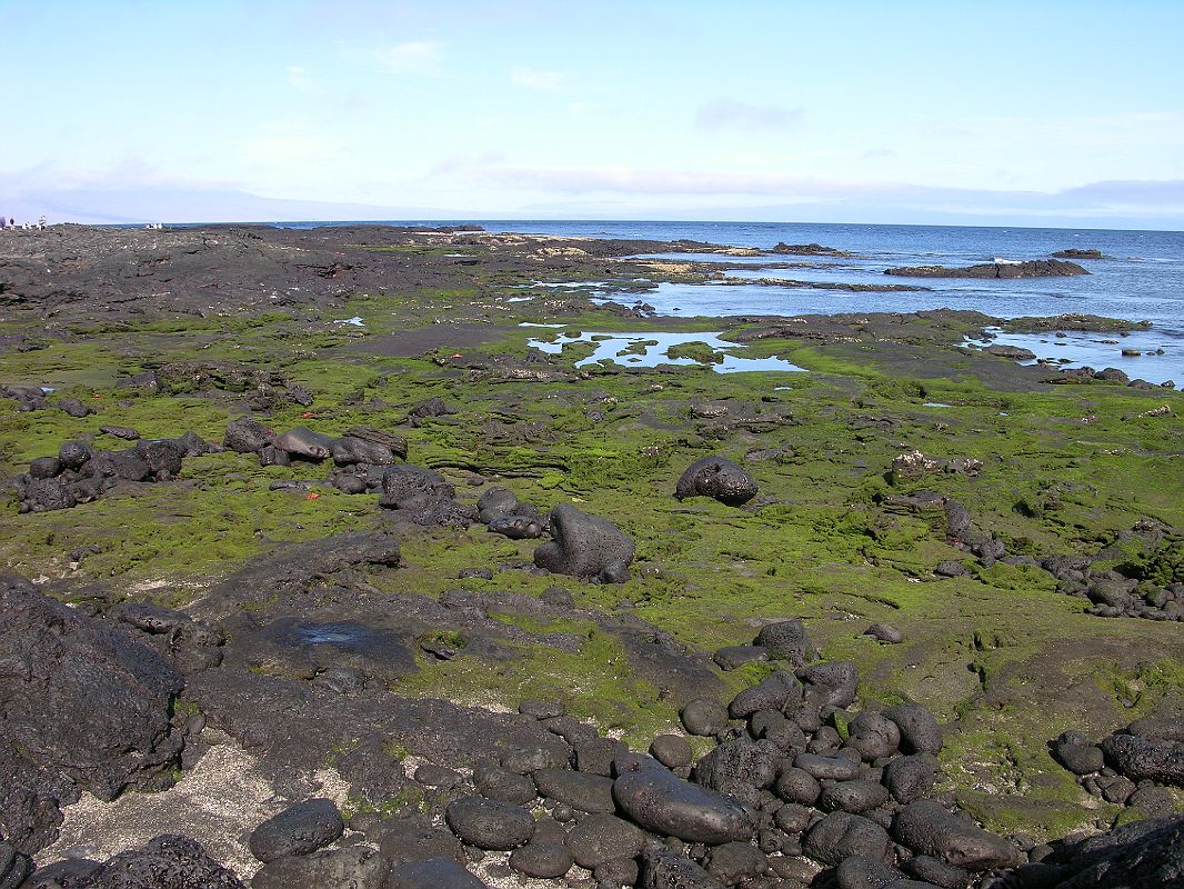 Galapagos 6-1-08 Santiago Puerto Egas Shoreline